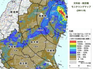 2012.03.26 物理学会原発事故シンポ 押川講演 Slide 8
