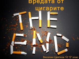 Вредата от
  цигарите




    Веселин Цвятков 10 “б” клас
 