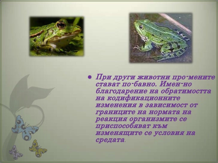 модификационна изменчивост