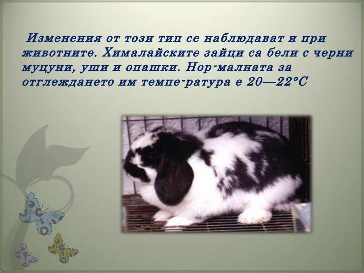 модификационна изменчивост