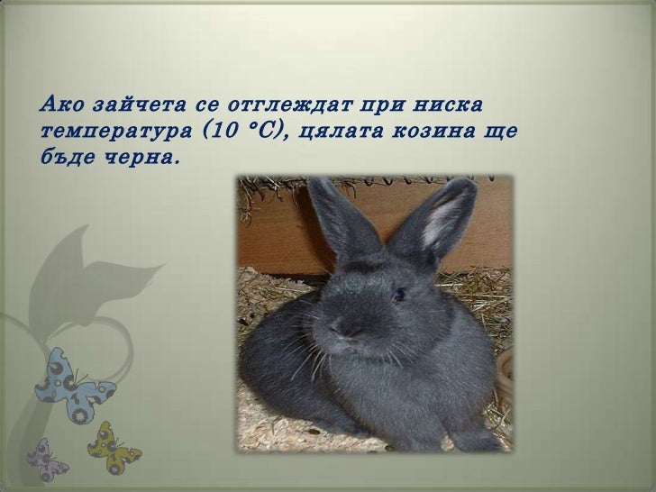 модификационна изменчивост