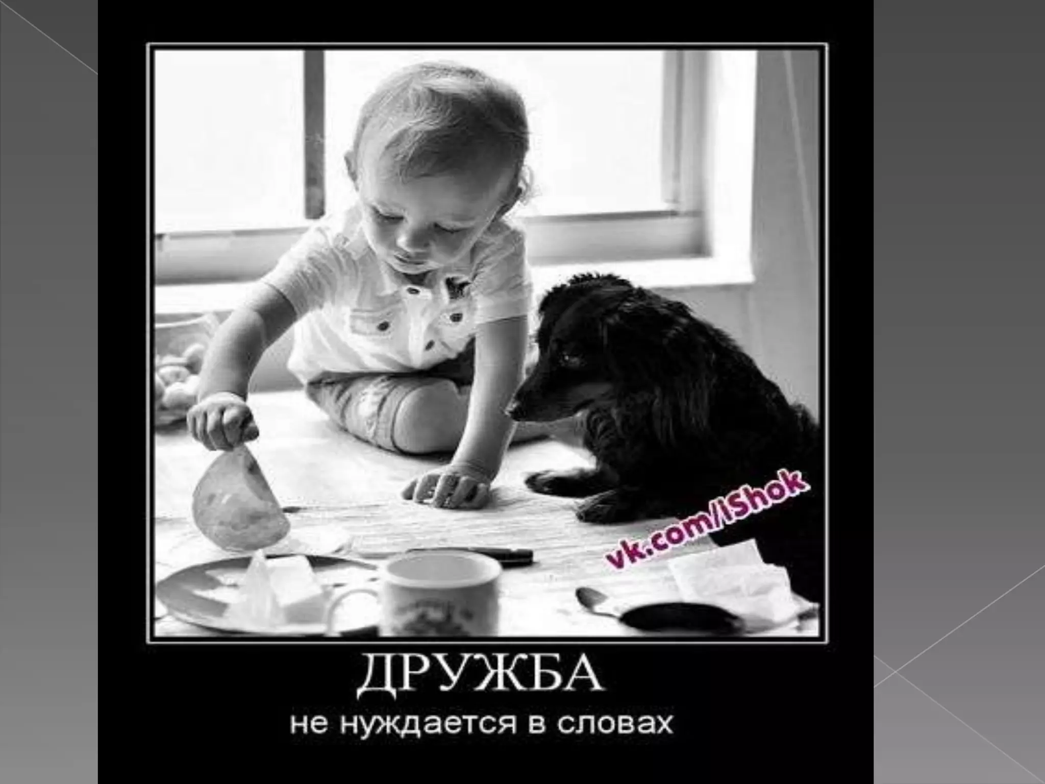 моему лучшему другу