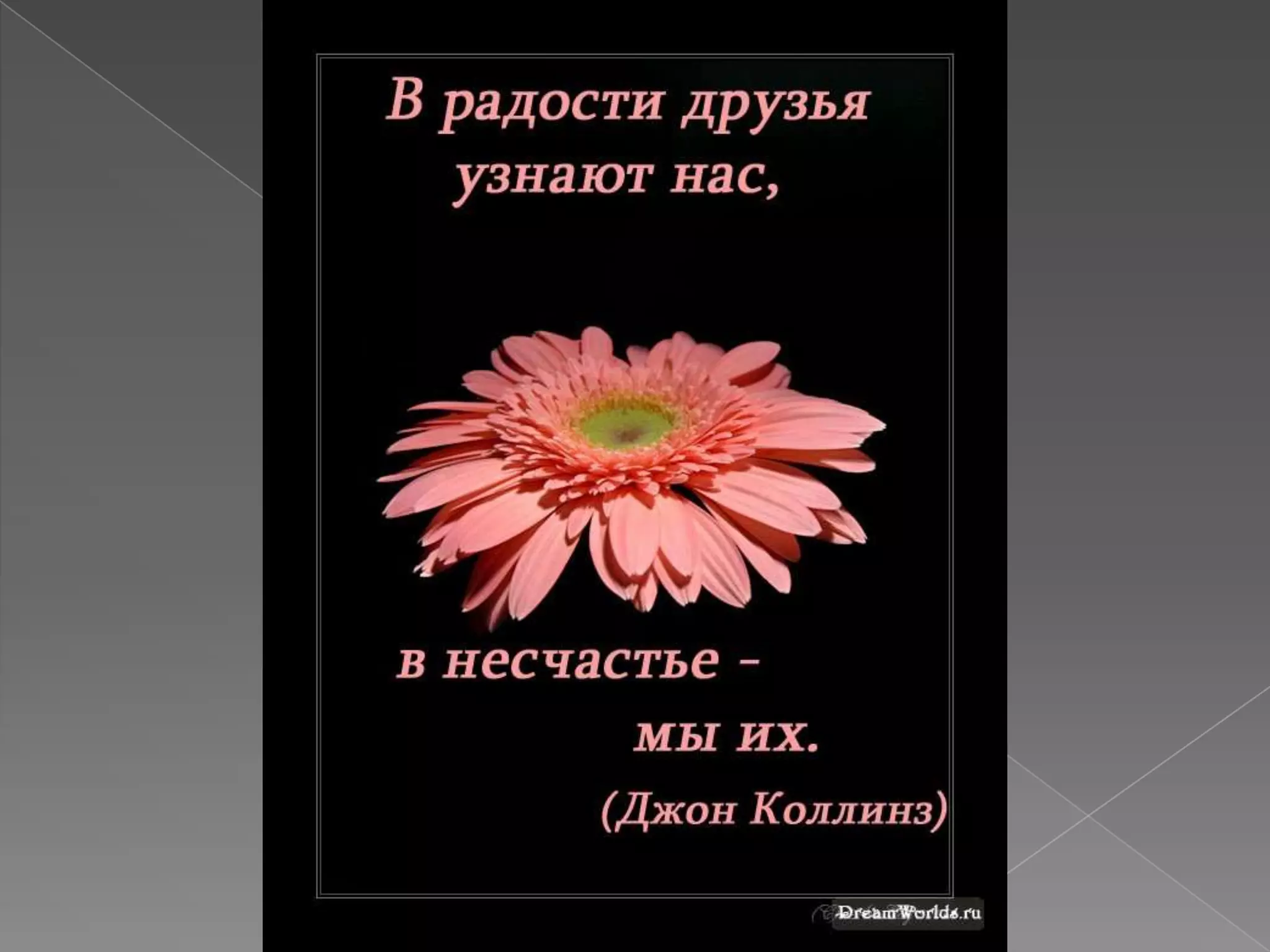 моему лучшему другу