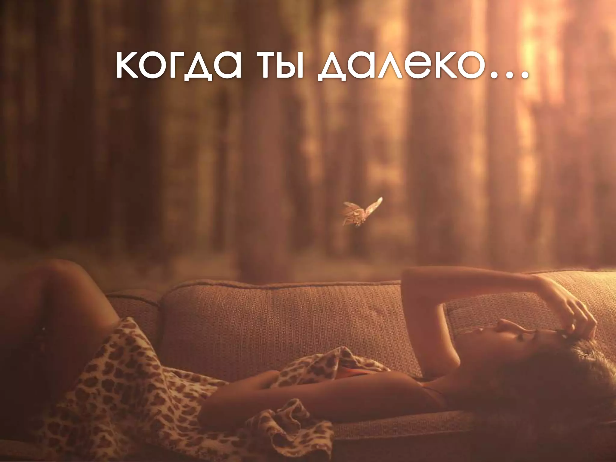 моему лучшему другу