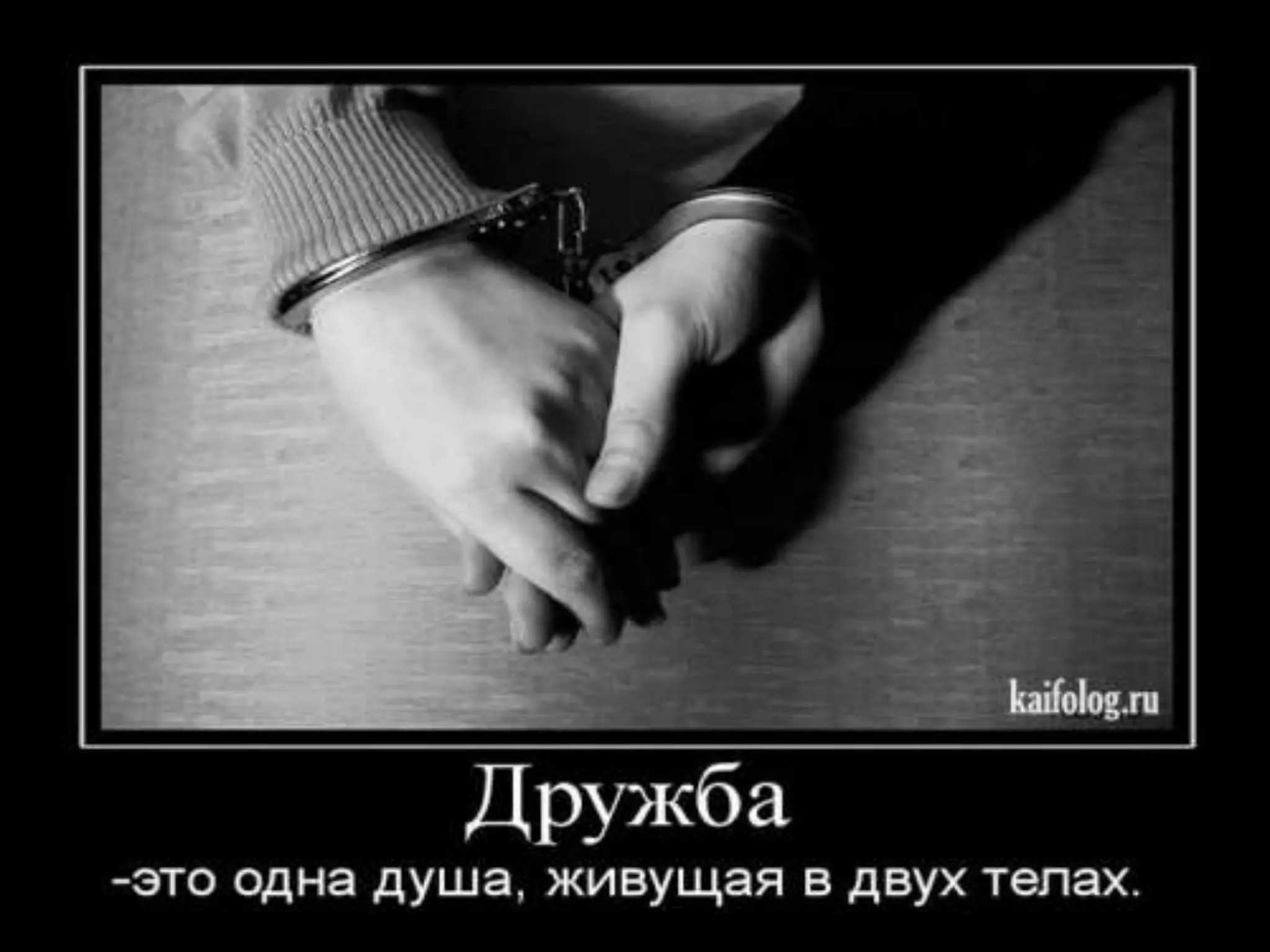 моему лучшему другу