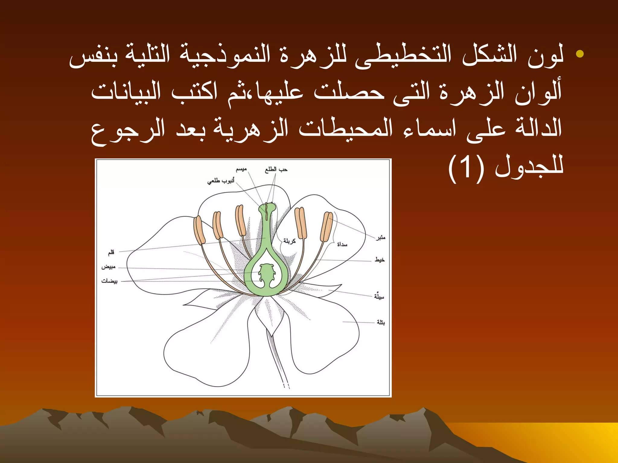 ‫• لون الشكل التخطيطى للزهرة النموذجية التلية بنفس‬
 ‫ألوان الزهرة التى حصلت عليها،ثم اكتب البيانات‬
 ‫الدالة على اسماء المحيطات الزهرية بعد الرجوع‬
                                    ‫للجدول )1(‬
 