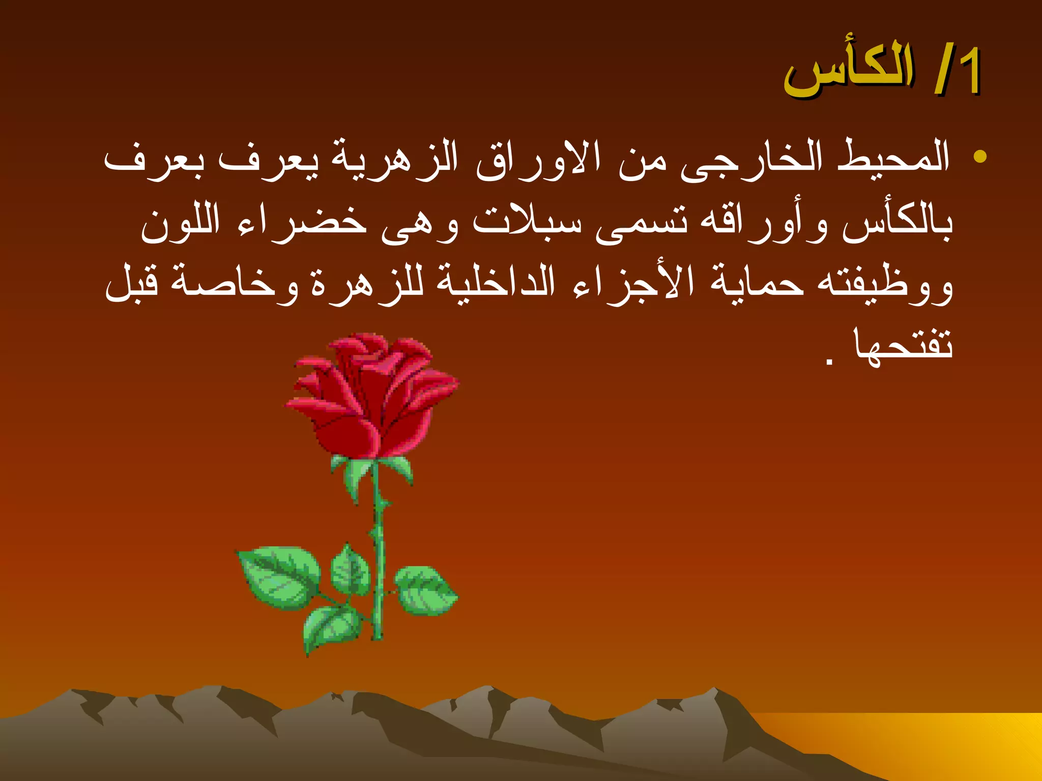 ‫1/ الكأس‬
‫• المحيط الخارجى من الوراق الزهرية يعرف بعرف‬
  ‫بالكأس وأوراقه تسمى سبلت وهى خضراء اللون‬
‫ووظيفته حماية الجزاء الداخلية للزهرة وخاصة قبل‬
                                       ‫تفتحها .‬
 