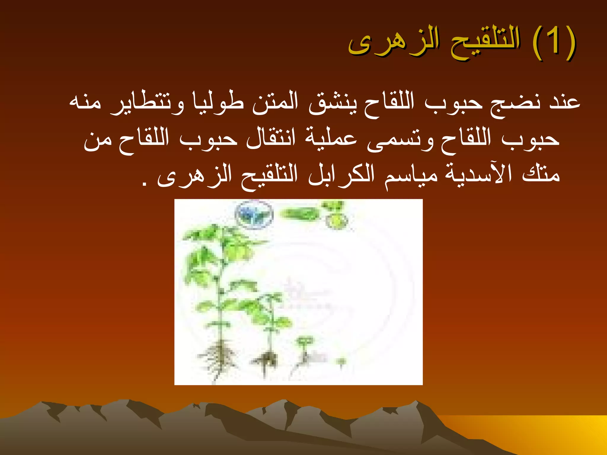 ‫)1( التلقيح الزهرى‬
‫عند نضج حبوب اللقاح ينشق المتن طوليا وتتطاير منه‬
 ‫حبوب اللقاح وتسمى عملية انتقال حبوب اللقاح من‬
       ‫متك السدية مياسم الكرابل التلقيح الزهرى .‬
 