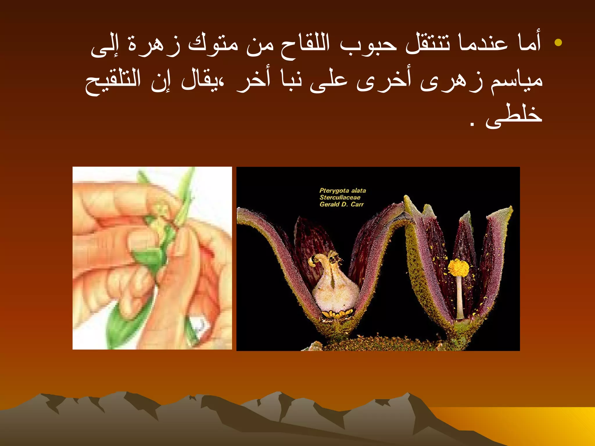 ‫• أما عندما تنتقل حبوب اللقاح من متوك زهرة إلى‬
‫مياسم زهرى أخرى على نبا أخر ،يقال إن التلقيح‬
                                     ‫خلطى .‬
 