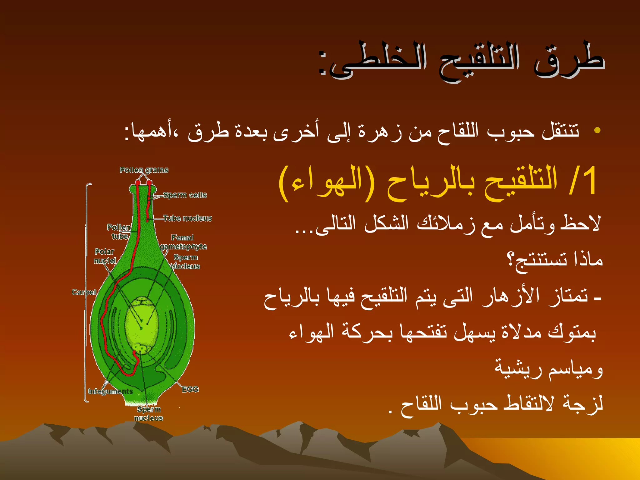 ‫طرق التلقيح الخلطى:‬
‫• تنتقل حبوب اللقاح من زهرة إلى أخرى بعدة طرق ،أهمها:‬

                 ‫1/ التلقيح بالرياح )الهواء(‬
                   ‫لحظ وتأمل مع زملئك الشكل التالى...‬
                                                ‫ماذا تستنتج؟‬
               ‫- تمتاز الزهار التى يتم التلقيح فيها بالرياح‬
                  ‫بمتوك مدلة يسهل تفتحها بحركة الهواء‬
                                              ‫ومياسم ريشية‬
                               ‫لزجة للتقاط حبوب اللقاح .‬
 