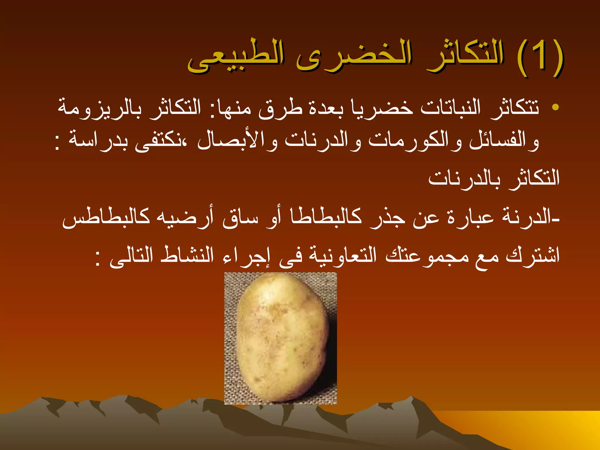 ‫)1( التكاثر الخضرى الطبيعى‬
 ‫• تتكاثر النباتات خضريا بعدة طرق منها: التكاثر بالريزومة‬
‫والفسائل والكورمات والدرنات والبصال ،نكتفى بدراسة :‬
                                           ‫التكاثر بالدرنات‬
 ‫-الدرنة عبارة عن جذر كالبطاطا أو ساق أرضيه كالبطاطس‬
    ‫اشترك مع مجموعتك التعاونية فى إجراء النشاط التالى :‬
 