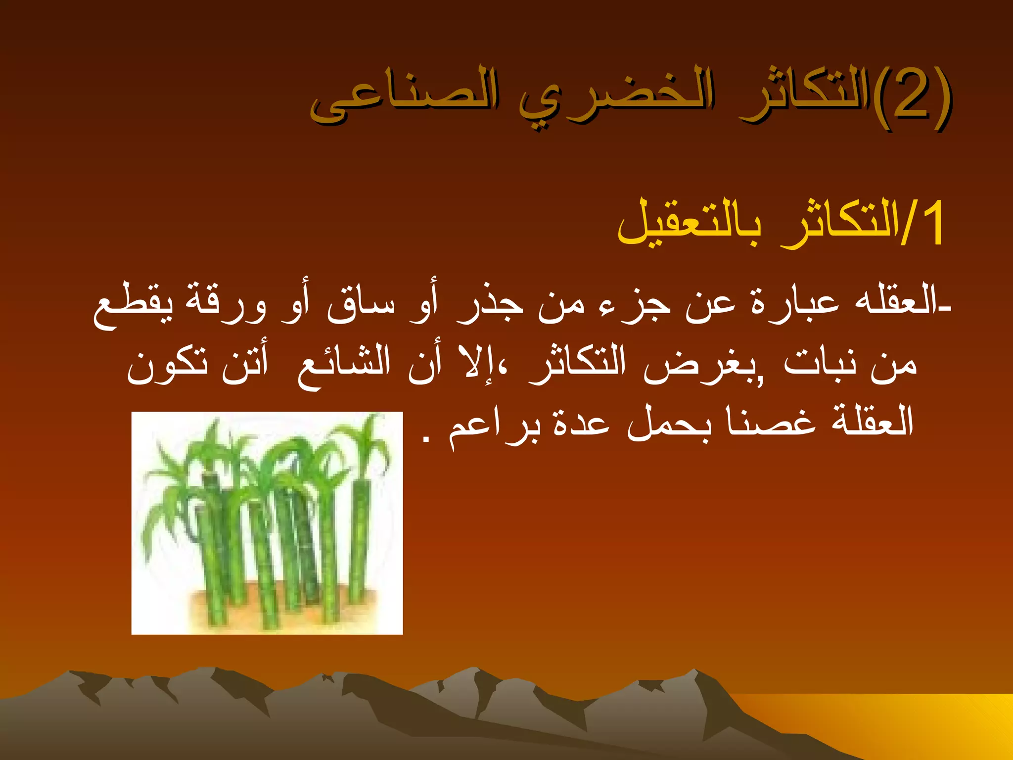 ‫)2(التكاثر الخضري الصناعى‬
                            ‫1/التكاثر بالتعقيل‬
‫-العقله عبارة عن جزء من جذر أو ساق أو ورقة يقطع‬
 ‫من نبات ,بغرض التكاثر ،إل أن الشائع أتن تكون‬
                  ‫العقلة غصنا بحمل عدة براعم .‬
 