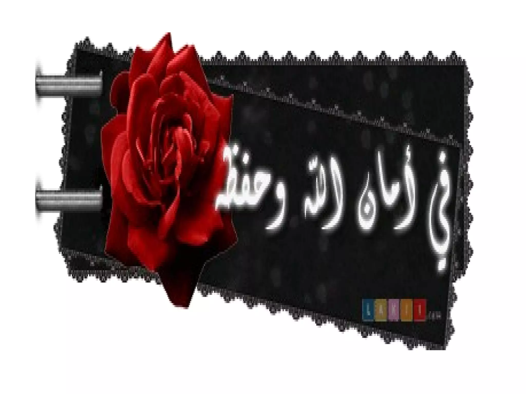 التكاثر فى النبات