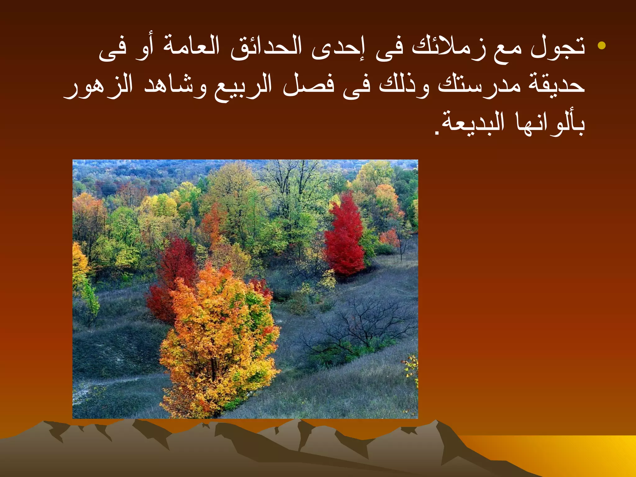 ‫• تجول مع زملئك فى إحدى الحدائق العامة أو فى‬
‫حديقة مدرستك وذلك فى فصل الربيع وشاهد الزهور‬
                                 ‫بألوانها البديعة.‬
 