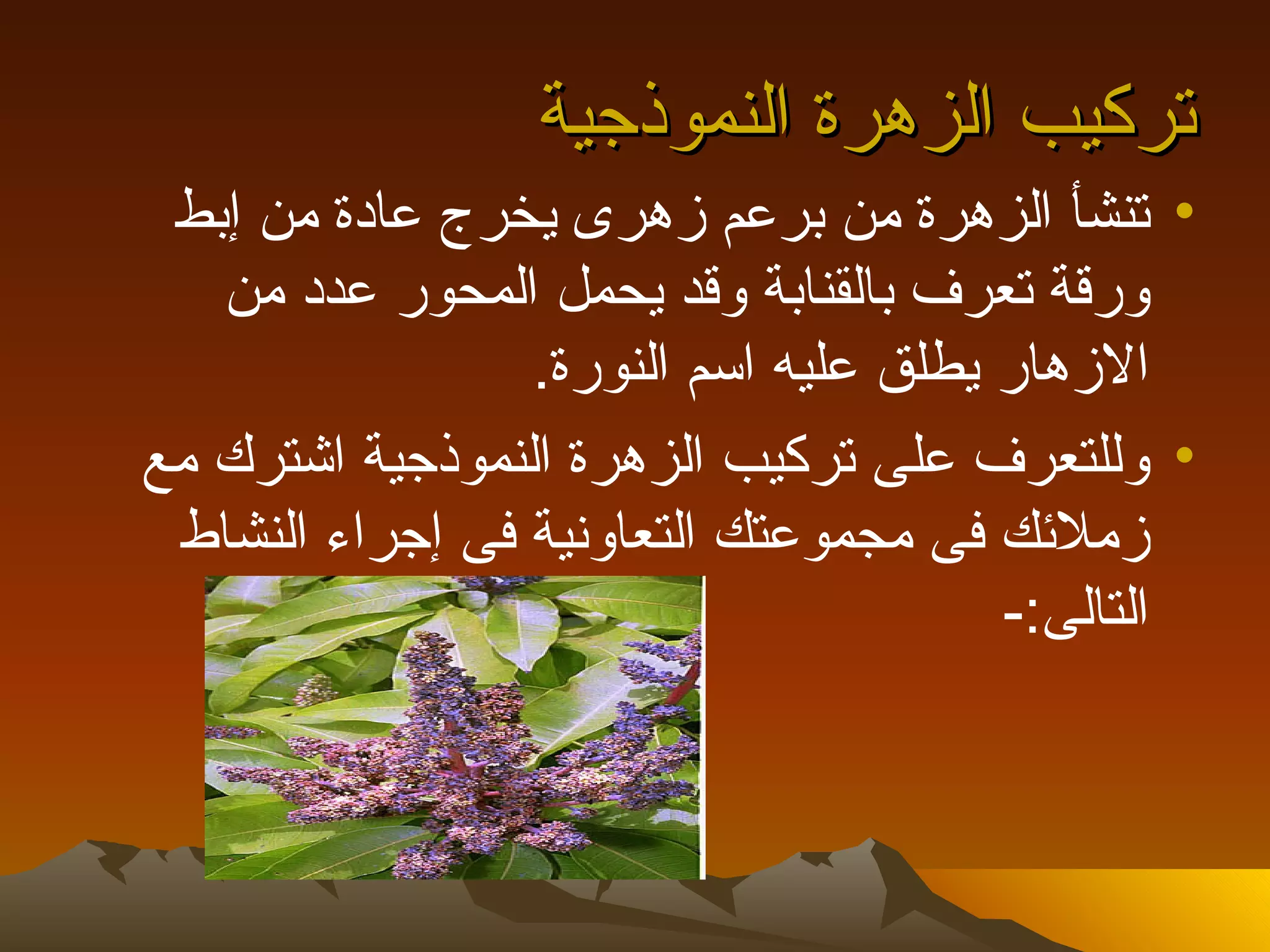 ‫تركيب الزهرة النموذجية‬
 ‫• تنشأ الزهرة من برعم زهرى يخرج عادة من إبط‬
   ‫ورقة تعرف بالقنابة وقد يحمل المحور عدد من‬
                 ‫الزهار يطلق عليه اسم النورة.‬
‫• وللتعرف على تركيب الزهرة النموذجية اشترك مع‬
 ‫زملئك فى مجموعتك التعاونية فى إجراء النشاط‬
                                       ‫التالى:-‬
 