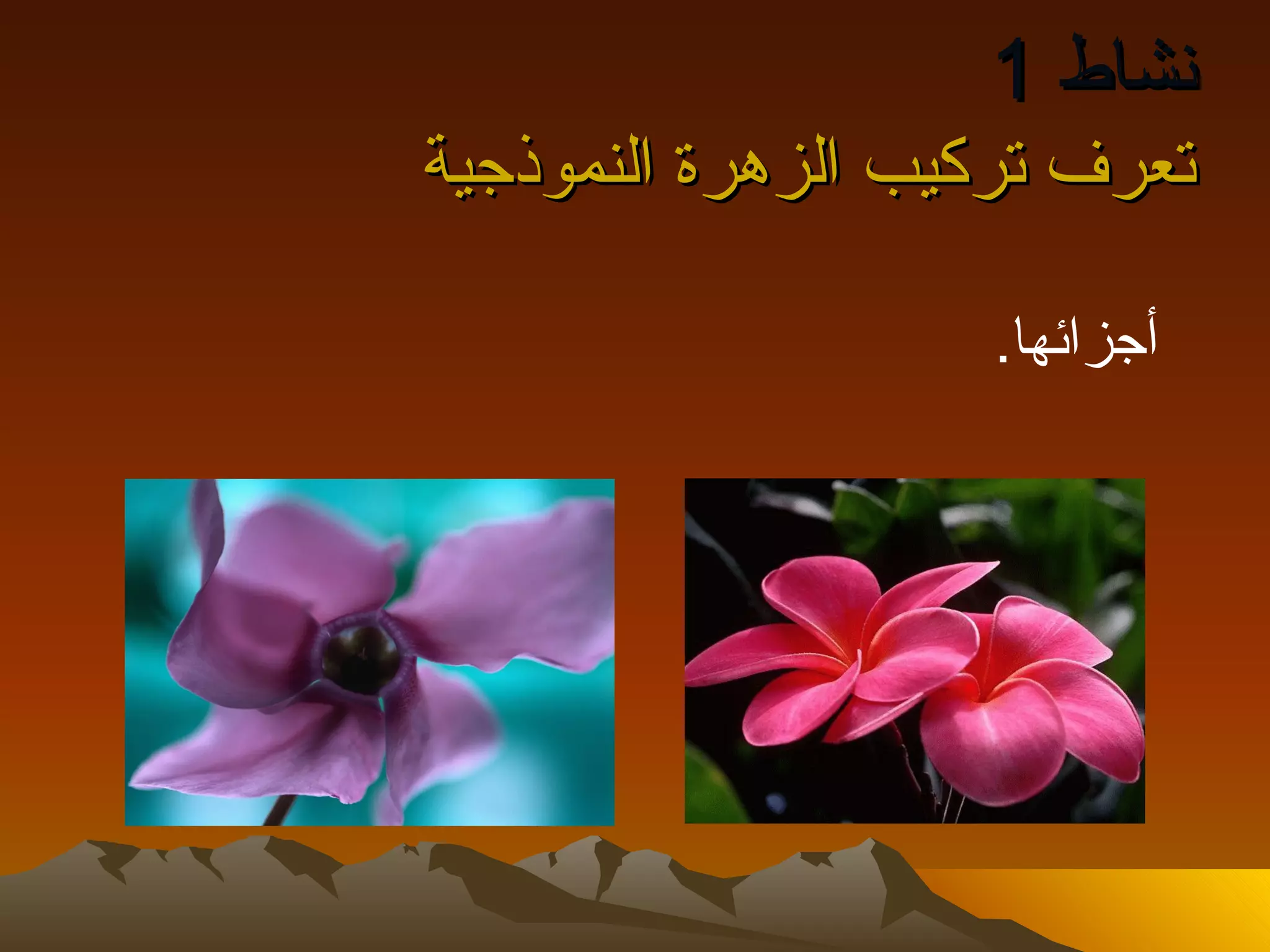 ‫نشاط 1‬
‫تعرف تركيب الزهرة النموذجية‬

                   ‫أجزائها.‬
 