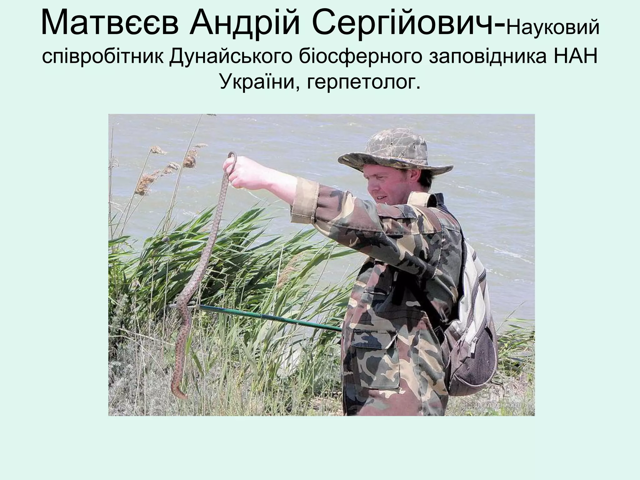 Матвєєв Андрій Сергійович-Науковий
співробітник Дунайського біосферного заповідника НАН
                 України, герпетолог.
 
