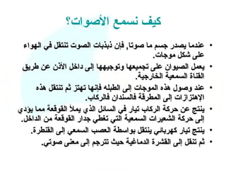‫كيف نسمع الصوات؟‬
  ‫عندما يصدر جسم ما صوتا, فإن ذبذبات الصوت تنتقل في الهواء‬          ‫•‬
                                              ‫على شكل موجات.‬
 ‫يعمل الصيوان على تجميعها وتوجيهها إلى داخل الذن عن طريق‬            ‫•‬
                                         ‫القناة السمعية الخارجية.‬
      ‫عند وصول هذه الموجات إلى الطبله فإنها تهتز ثم تنتقل هذه‬       ‫•‬
                       ‫الهتزازات إلى المطرقة فالسندان فالركاب.‬
‫ينتج عن حركة الركاب تيار في السائل الذي يمل القوقعة مما يؤدي‬        ‫•‬
 ‫إلى حركة الشعيرات السمعية التي تغطي جدار القوقعة من الداخل.‬
    ‫ينتج تيار كهربائي ينتقل بواسطة العصب السمعي إلى القنطرة.‬        ‫•‬
        ‫ثم تنقل إلى القشرة الدماغية حيث تترجم إلى معنى صوتي.‬        ‫•‬
 