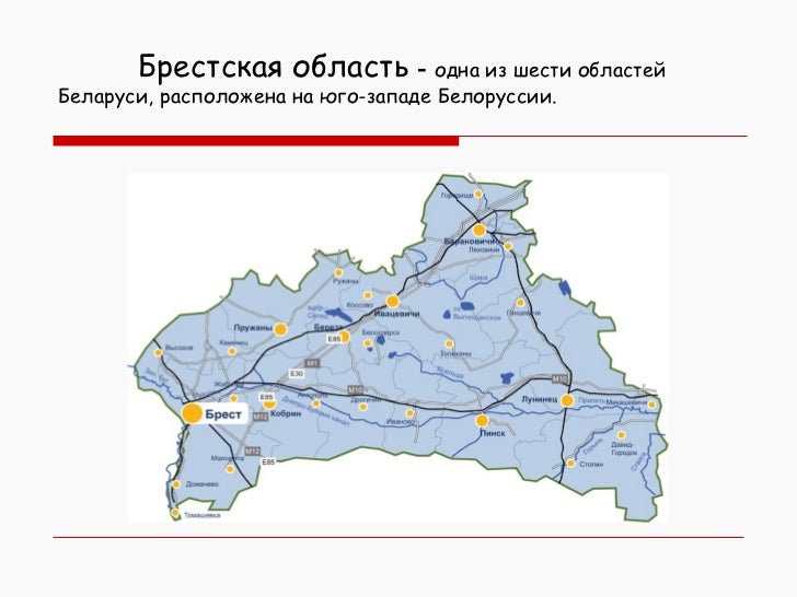 Авто брестская область