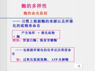 酶的多样性
      酶的命名原则

—— 习惯上根据酶的来源以及所催
化的底物来命名
     产生场所 + 催化底物
+ 酶
例如：胃蛋白酶、肠麦芽糖酶


    —— 也根据所催化的化学反应类型命
名
    如：过氧化氢脱氢酶、 ATP 水解酶
 