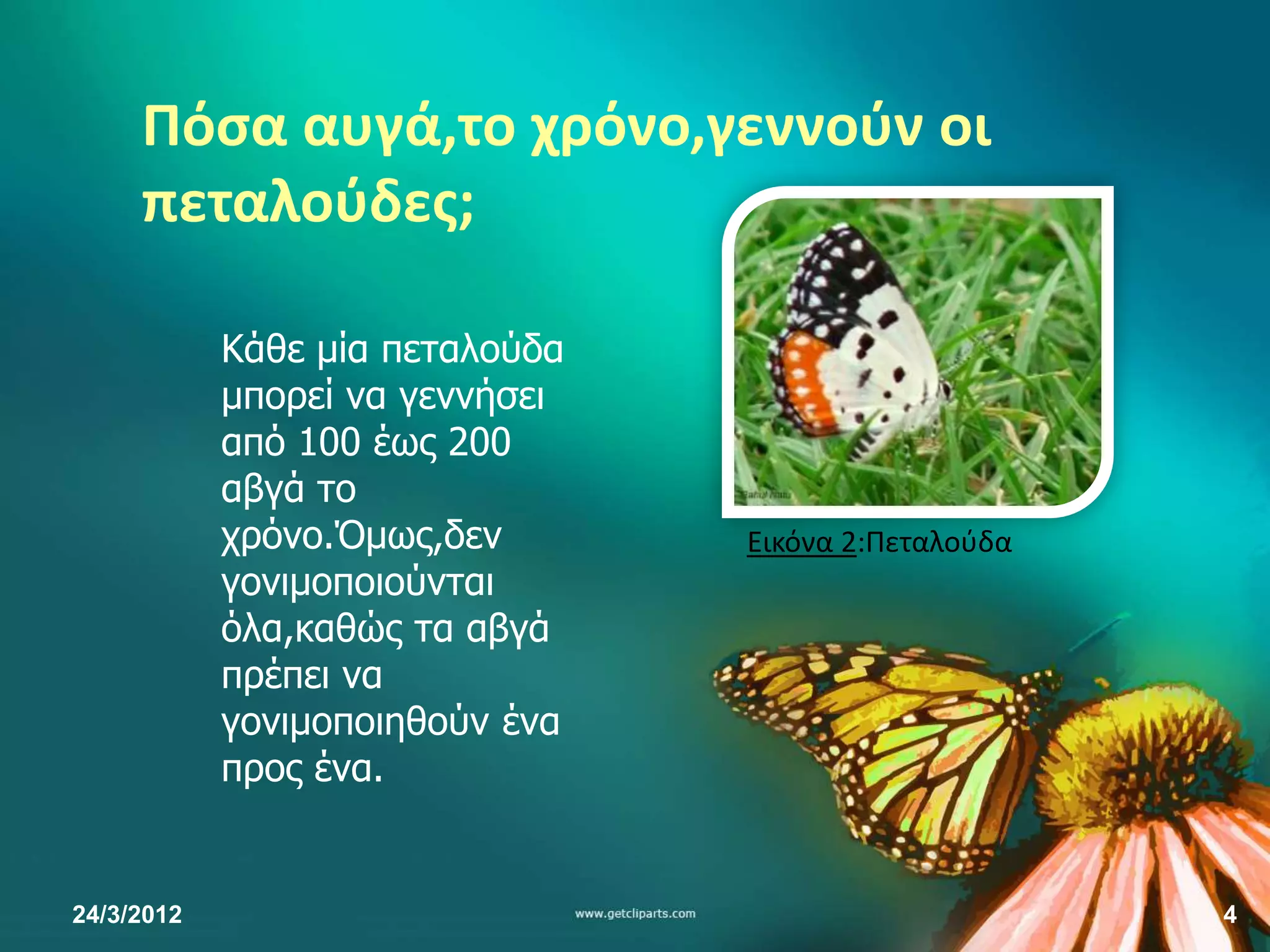 πεταλουδες | PPTX