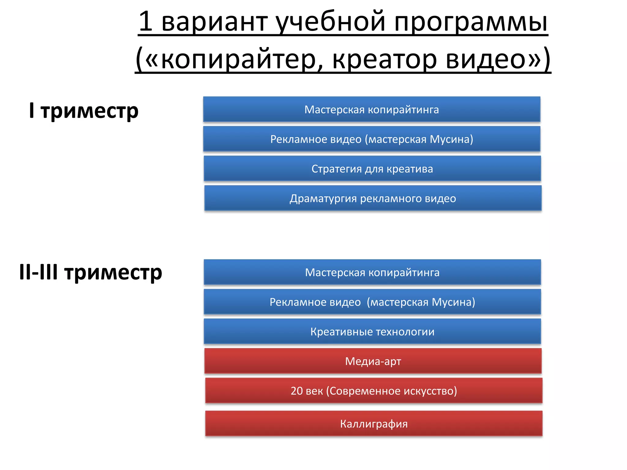 1 вариант учебной программы
            («копирайтер, креатор видео»)
 I триместр               Мастерская копирайтинга

                     Рекламное видео (мастерская Мусина)

                            Стратегия для креатива

                        Драматургия рекламного видео




II-III триместр            Мастерская копирайтинга

                     Рекламное видео (мастерская Мусина)

                           Креативные технологии

                                  Медиа-арт

                        20 век (Современное искусство)

                                 Каллиграфия
 