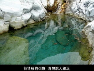 詩情般的倒影 真想跳入親近
 
