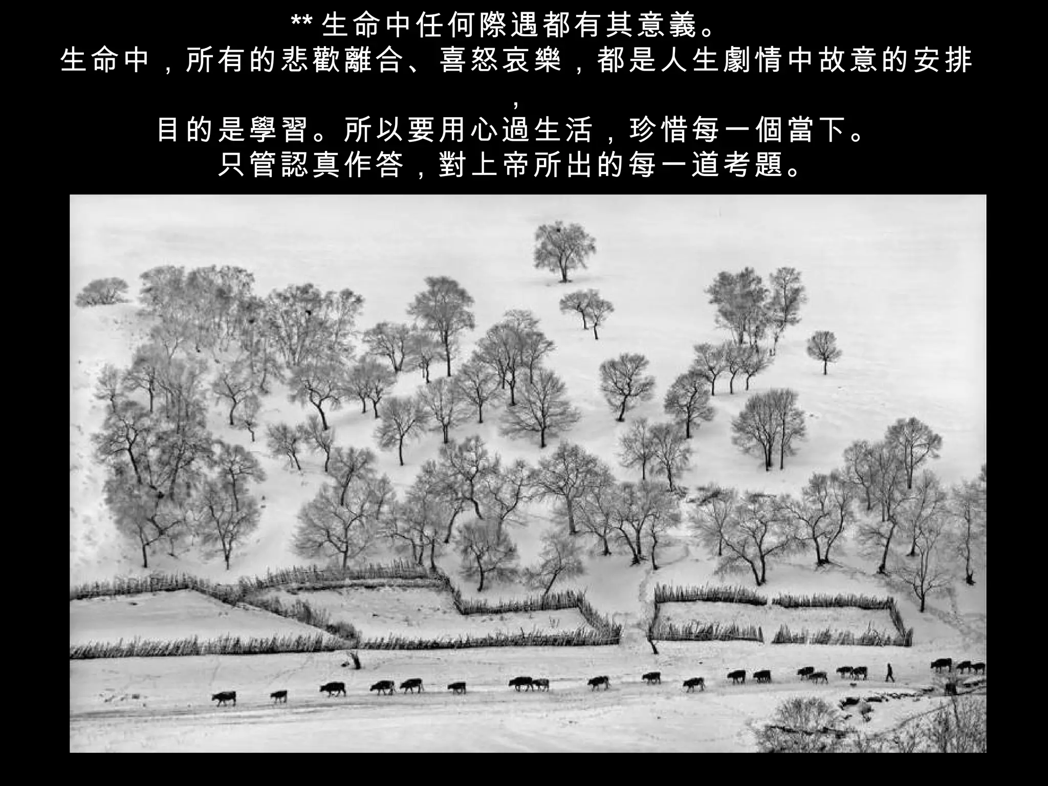 ** 生命中任何際遇都有其意義。
生命中，所有的悲歡離合、喜怒哀樂，都是人生劇情中故意的安排
                ，
   目的是學習。所以要用心過生活，珍惜每一個當下。
     只管認真作答，對上帝所出的每一道考題。
 