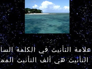 ‫علمة التأنيث في الكلمة السا‬
‫ة التأنيث هي ألف التأنيث الممد‬
 
