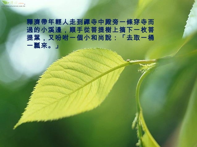 淨葉不沉 | PPS