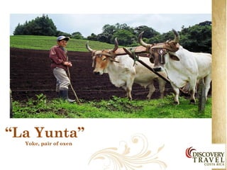 “La Yunta”::
  Yoke, pair of oxen
 