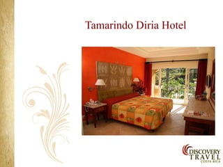 Tamarindo Diria Hotel
 