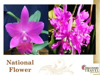 National
Flower
 