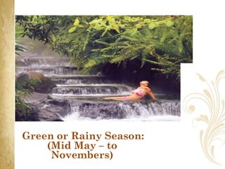    Green or Rainy Season:
         (Mid May – to
          Novembers)
 