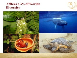 • Offers a 5% of Worlds
Diversity
 
