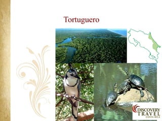 Tortuguero
 