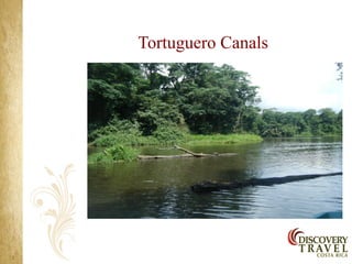 Tortuguero Canals
 
