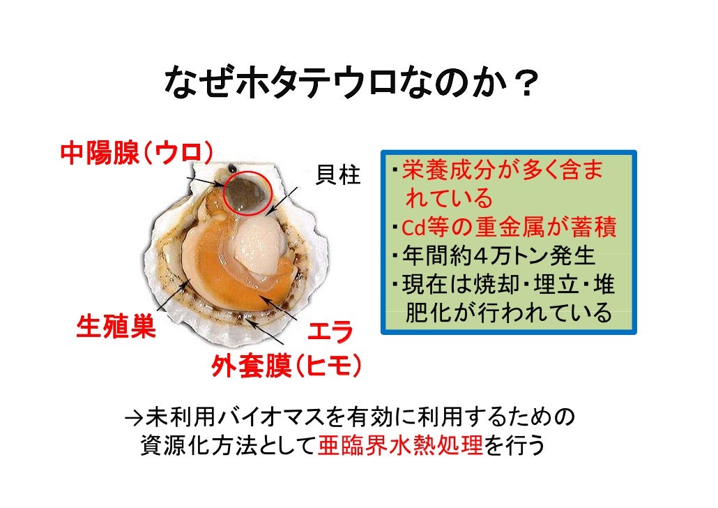 スライド例 改善前