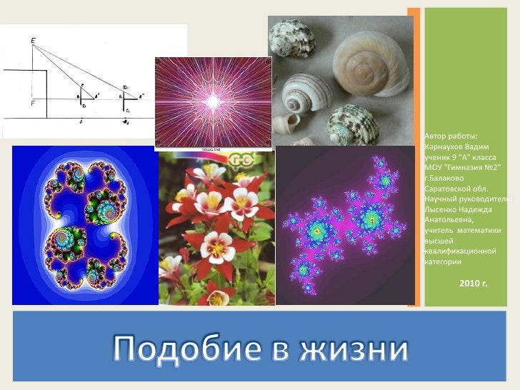 Подобие проекта х. Подобие проекта х
