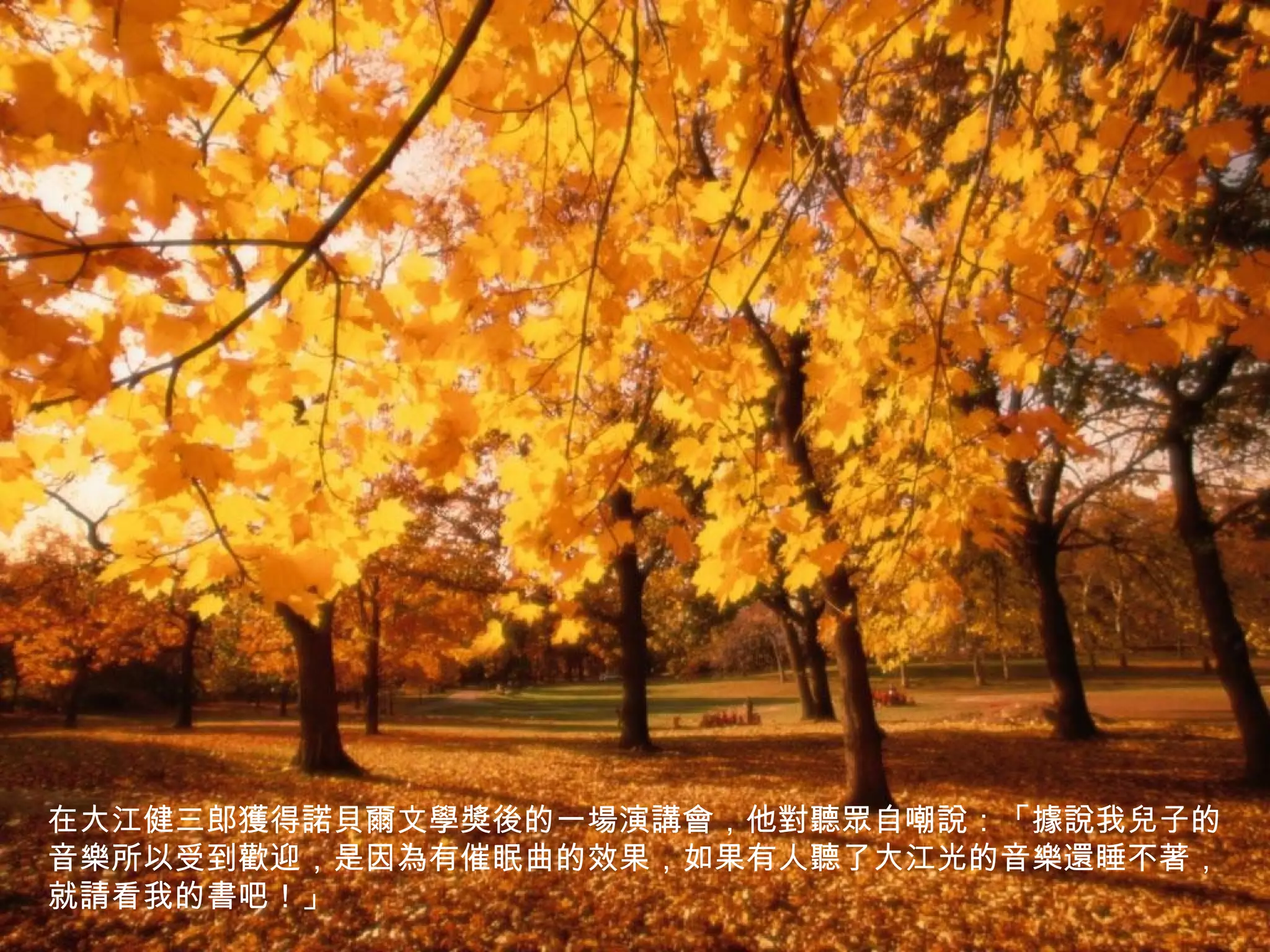 在大江健三郎獲得諾貝爾文學獎後的一場演講會，他對聽眾自嘲說：「據說我兒子的
音樂所以受到歡迎，是因為有催眠曲的效果，如果有人聽了大江光的音樂還睡不著，
就請看我的書吧！」
 