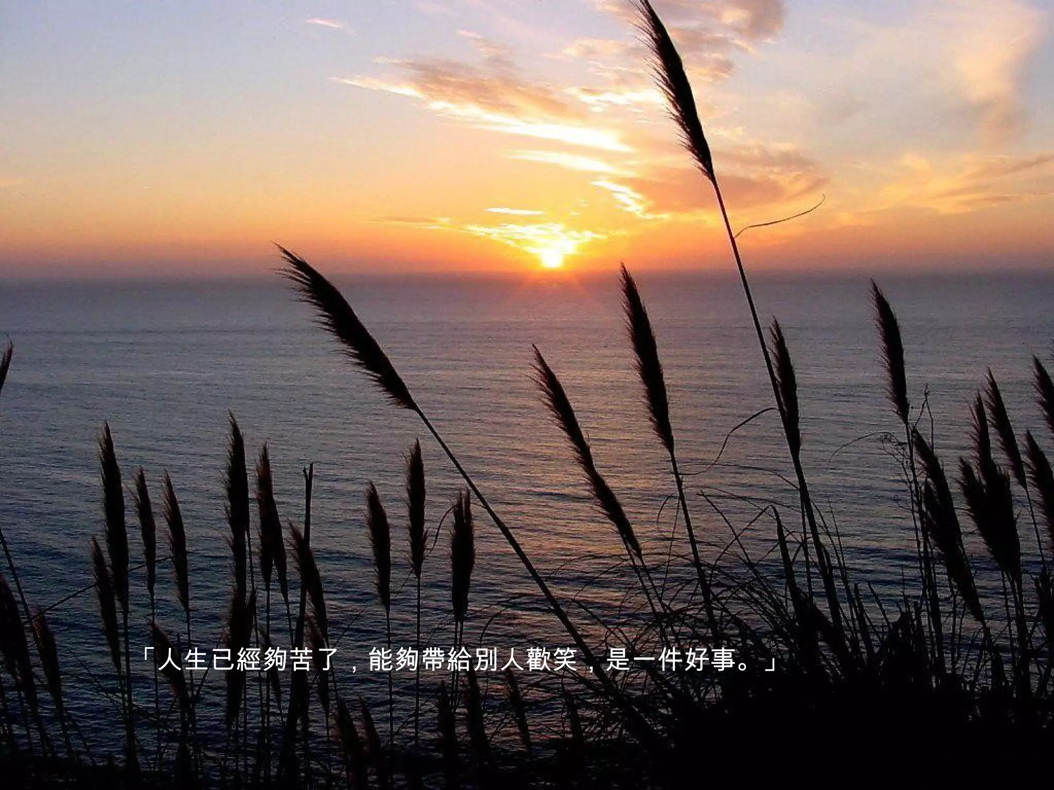 「人生已經夠苦了，能夠帶給別人歡笑，是一件好事。」
 