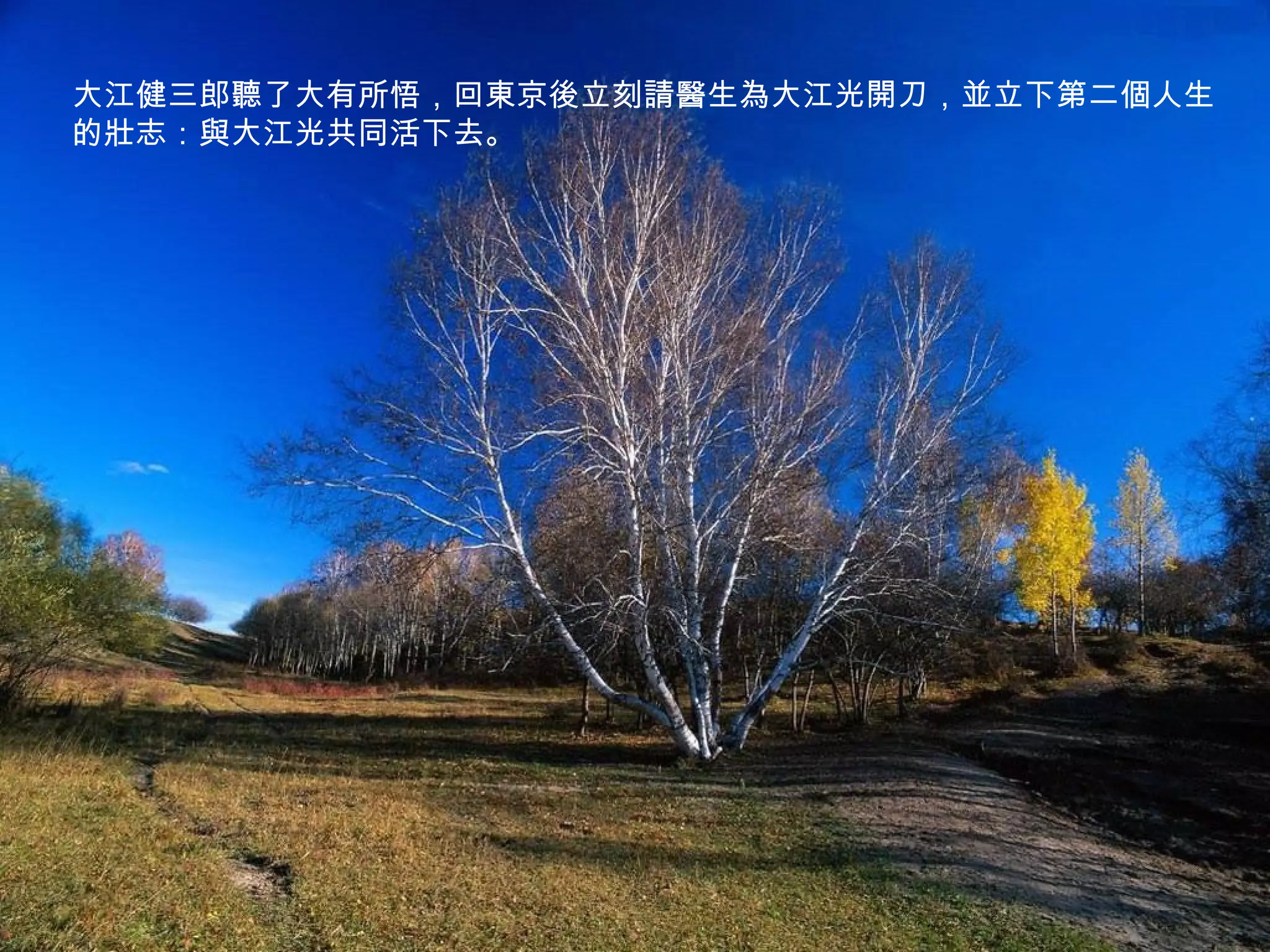 大江健三郎聽了大有所悟，回東京後立刻請醫生為大江光開刀，並立下第二個人生
的壯志：與大江光共同活下去。
 