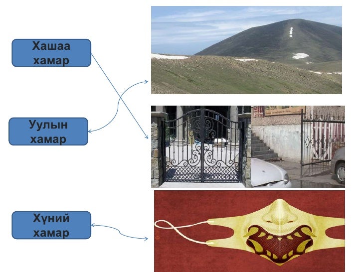 хамар
