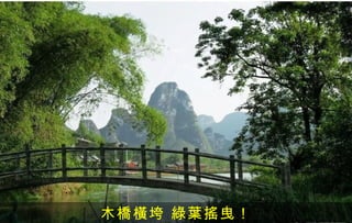 木橋橫垮 綠葉搖曳！
 