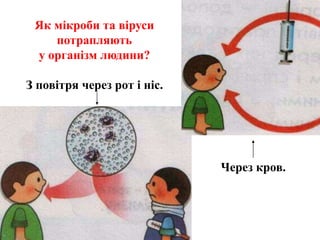 Корисні та шкідливі мікроби | PPT