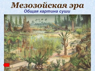 Мезозойская эра
  Общая картина суши
 