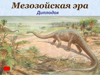 Мезозойская эра
    Диплодок
 