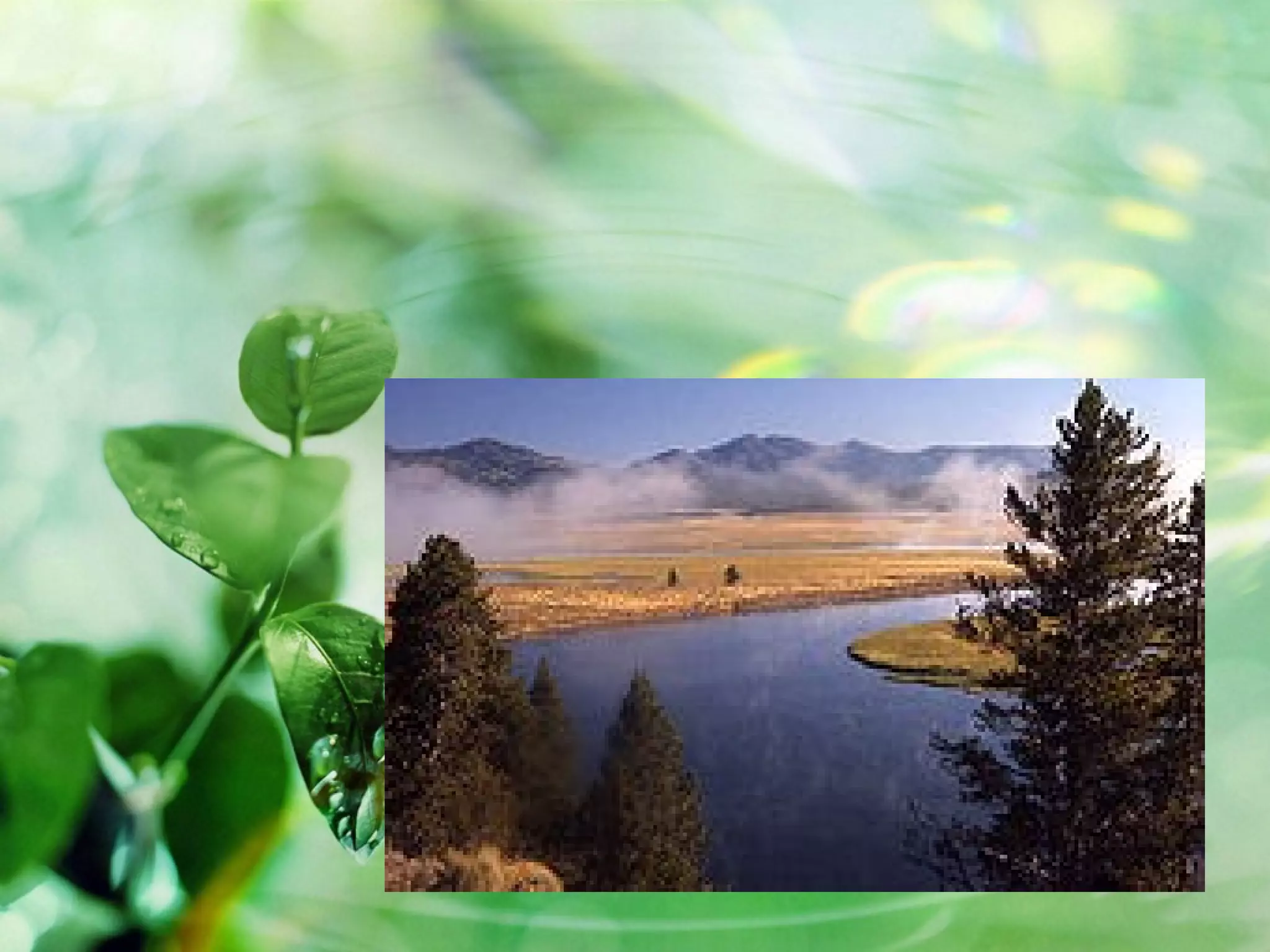 йеллоустонский национальный парк