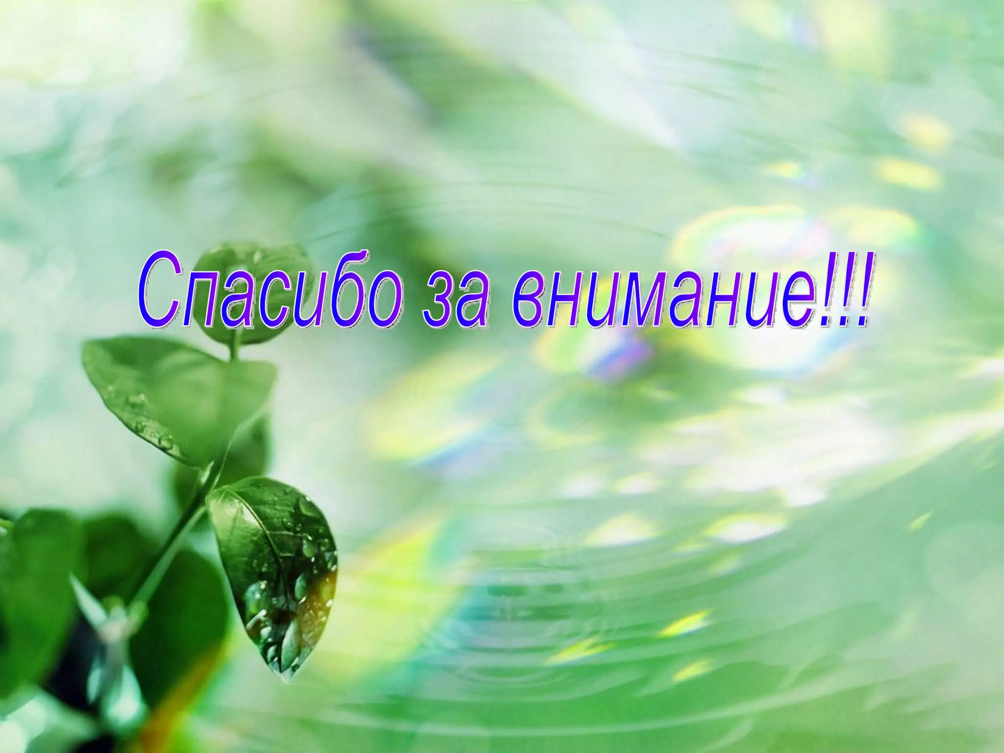 йеллоустонский национальный парк