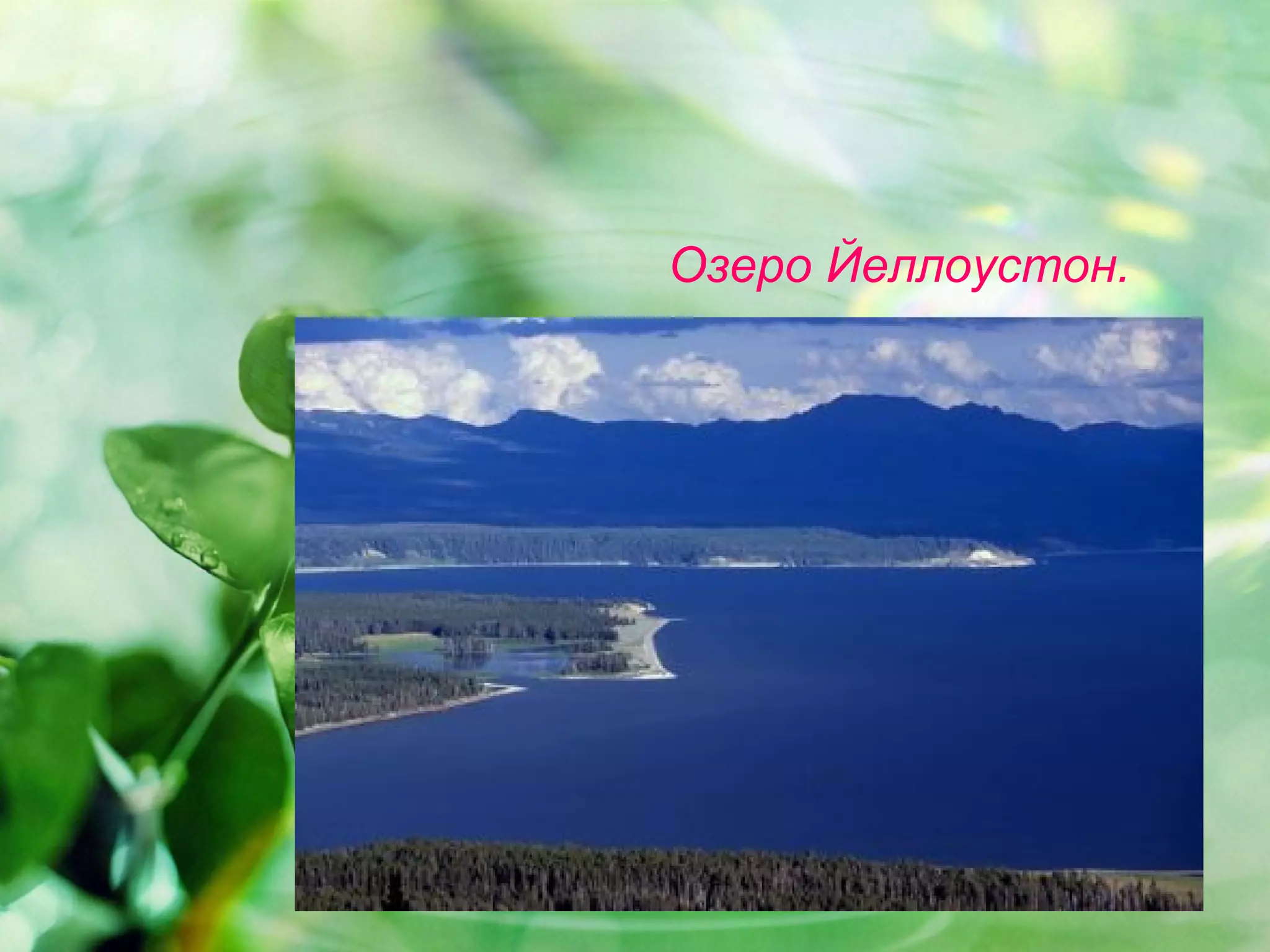 Озеро Йеллоустон.